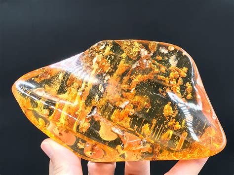 real amber fossil for sale.